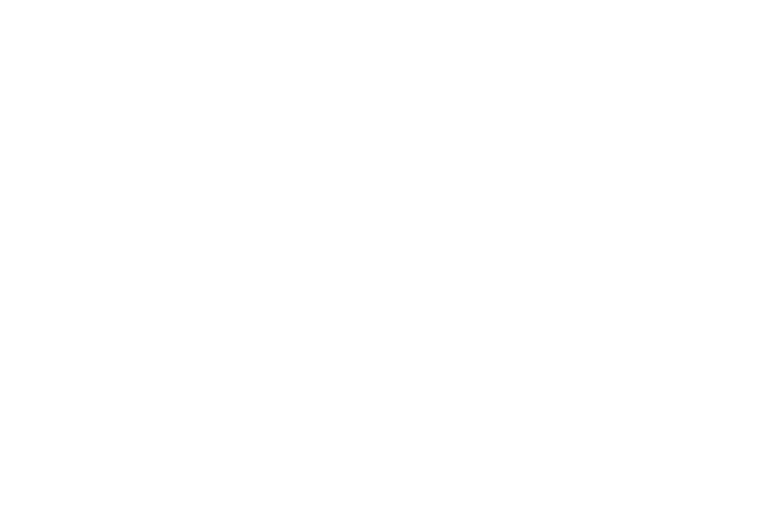 Branson's Roadhouse Logo White
